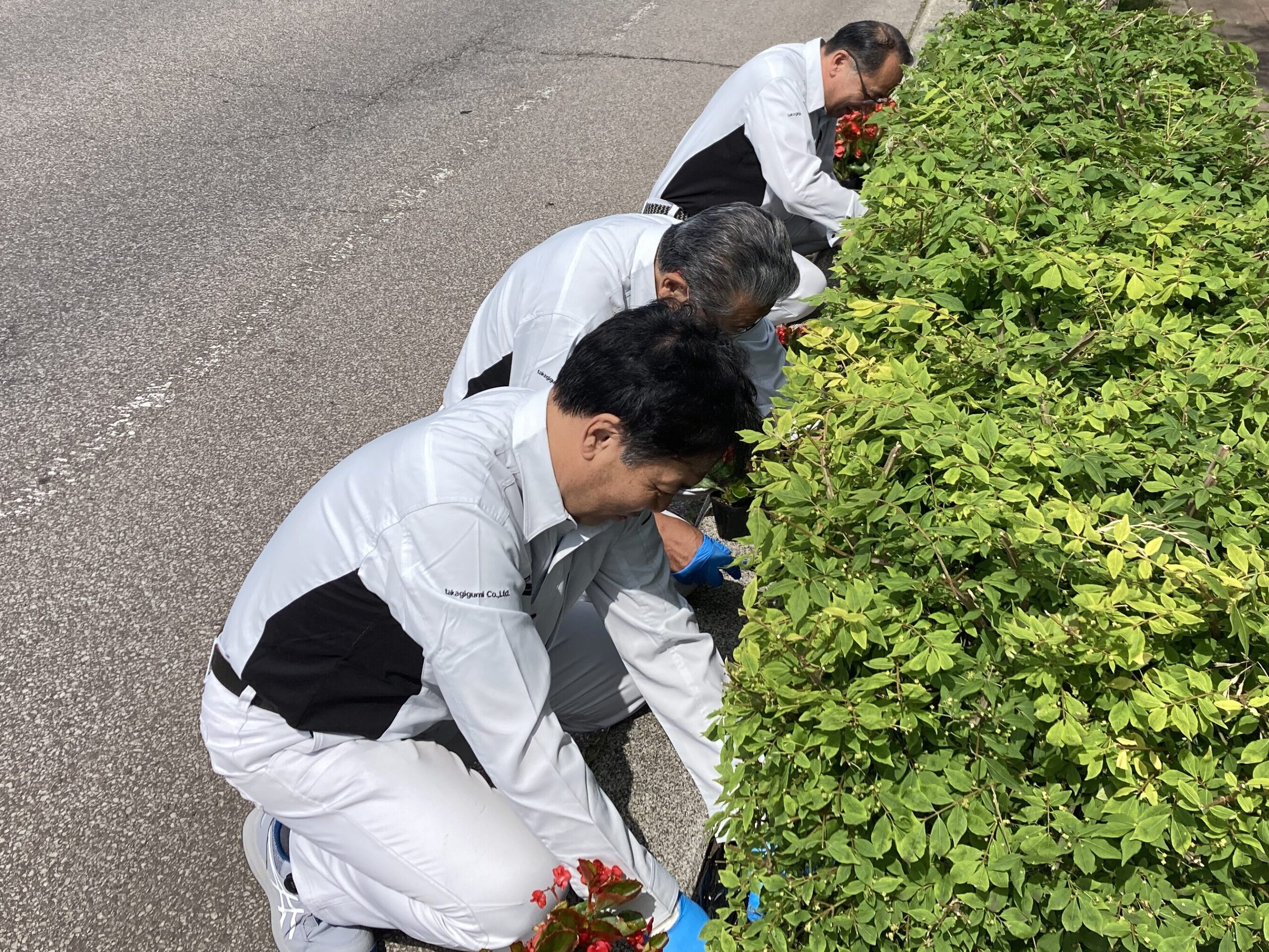 函館空港線「函館ウェルカム・ロード」の会 花植え